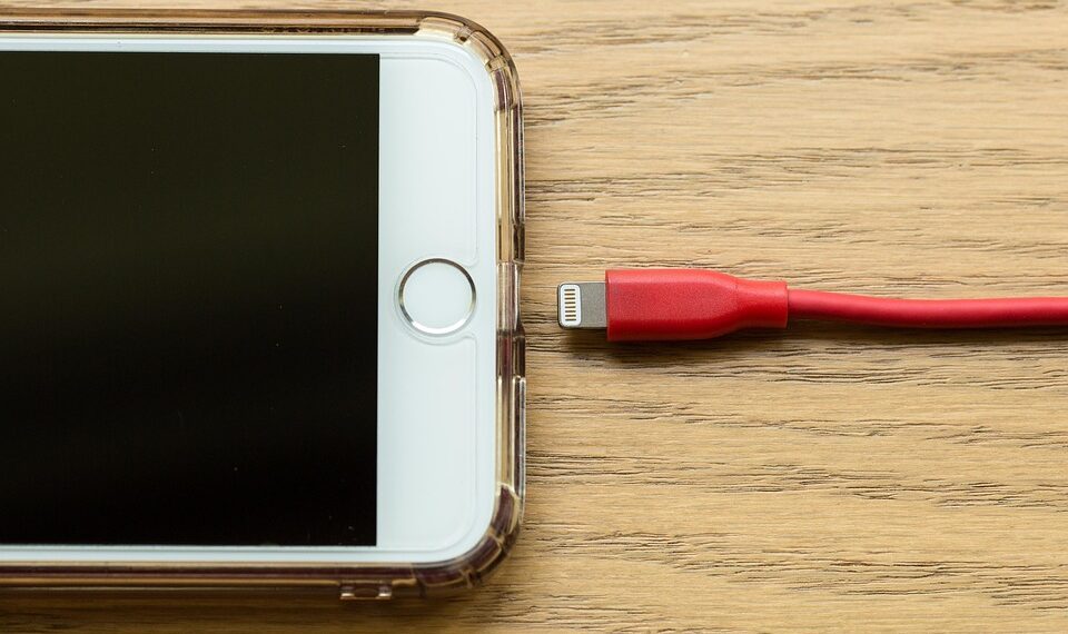 apple 3595603 960 720.jpg