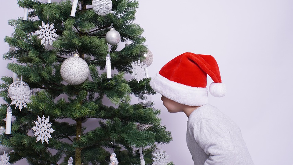 little boy 7618305 960 720.jpg