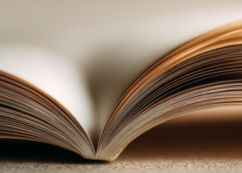 01 28 03 569 960 720.png