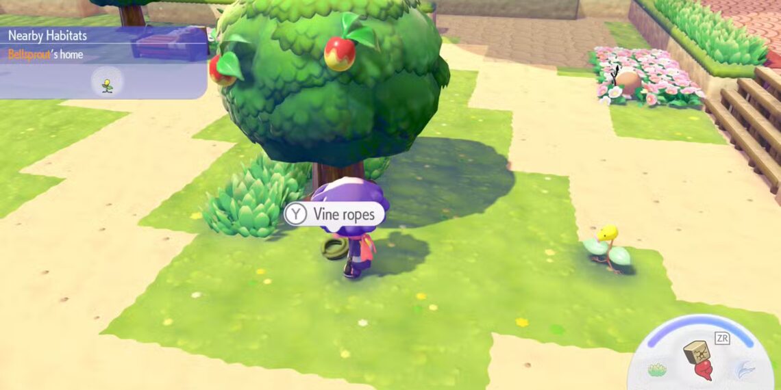 Alternative Ways to Obtain Vine Rope