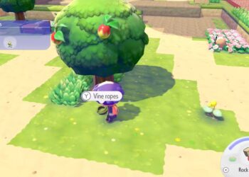 Alternative Ways to Obtain Vine Rope