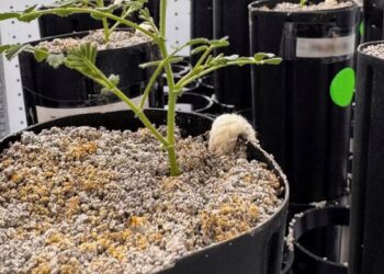 654259 8689204 updates.jpg