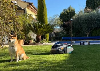 Beyond the Boundary Wire How Yardcare and N1600PRO Lead Mower.jpg