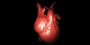 Can a Photo Protect Your Heart? New Study Reveals Visual Impact on Risk