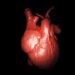 Can a Photo Protect Your Heart? New Study Reveals Visual Impact on Risk