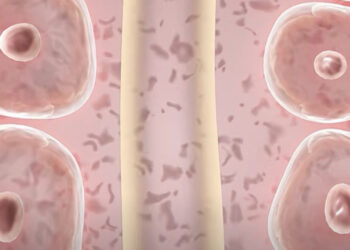 Chinese Scientists Encapsulate Mitochondria to Combat Parkinson’s Disease