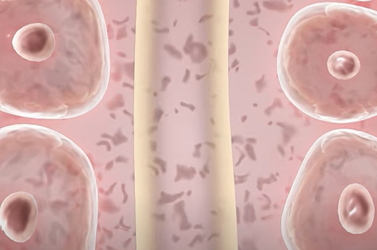 Chinese Scientists Encapsulate Mitochondria to Combat Parkinson’s Disease