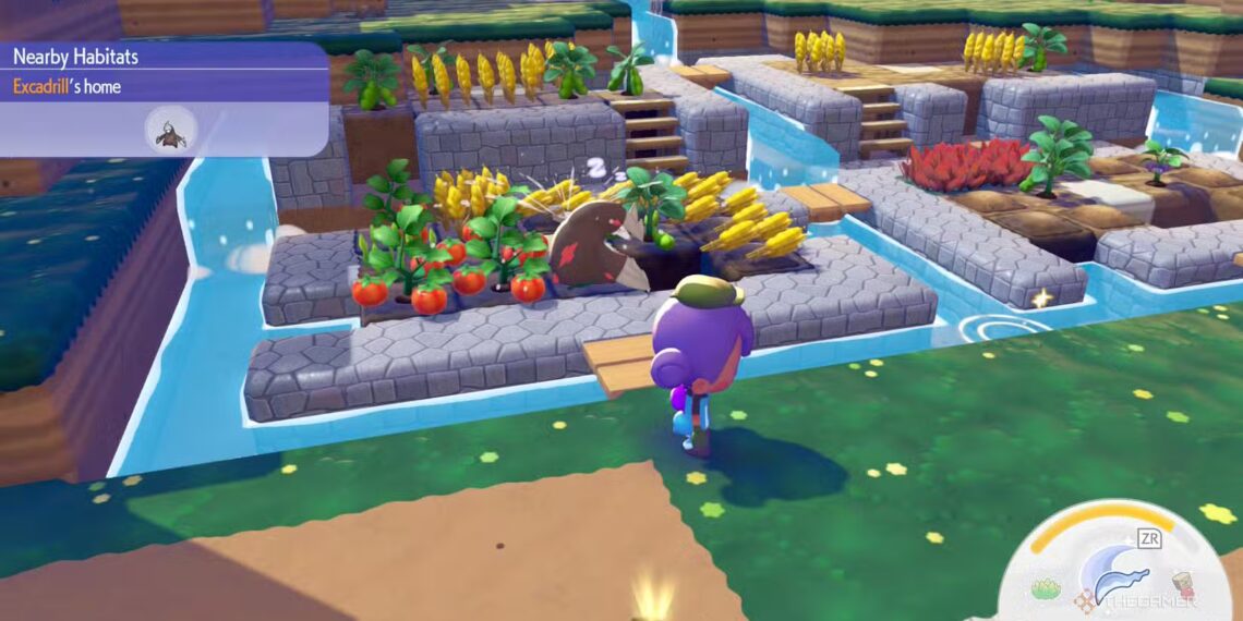 Complete List of Food Types and Flavors in Pokémon Pokopia: Solving and Completing