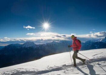 High-Altitude Animals Offer Clues to Nerve Repair