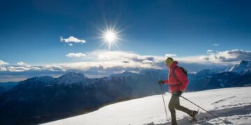 High-Altitude Animals Offer Clues to Nerve Repair