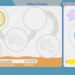 How Does the Stamp Rally Work in Pokémon Pokopia for Completing and Solving?