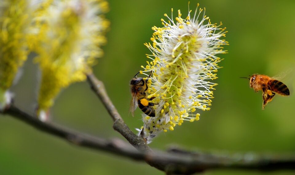 How To Find Who Provides Cloud-Based Enterprise Financial Systems