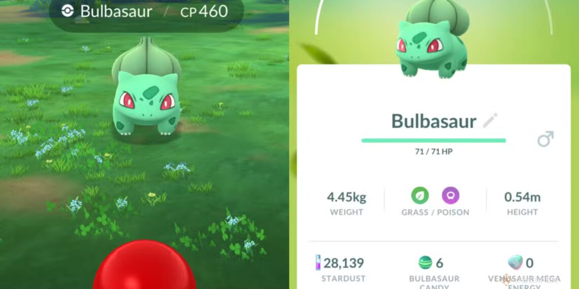 How to Obtain Ditto During Pokémon Go's Pokopia Solving Event