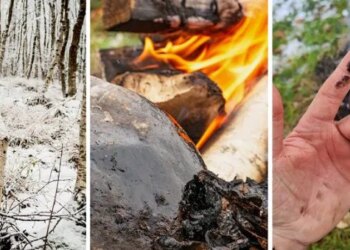 Neanderthals May Have Fought Infections 50,000 Years Ago