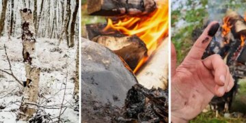 Neanderthals May Have Fought Infections 50,000 Years Ago