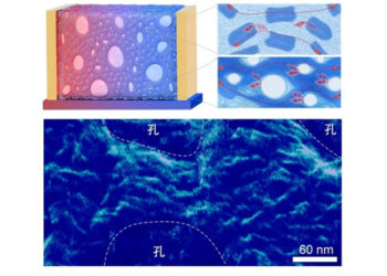 New China-Made Polymer Film Powers Wearables Using Body Heat