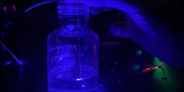 Tiny Fiber Sensors Detect Early Cancer by Reading Multiple Signals