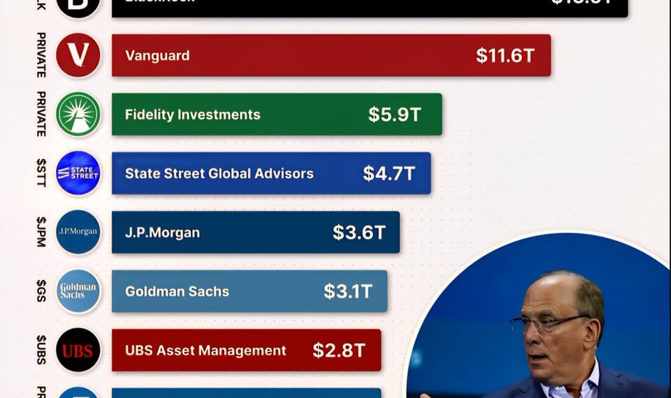 World's Top 10 Largest Asset Management Firms 

1.  BlackRock – $13.5 Trillion
2