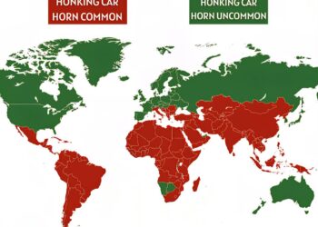 Honking Culture Around the World
