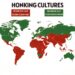 Honking Culture Around the World
