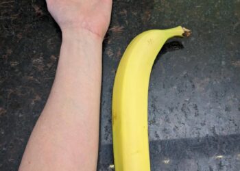 Average Erect Penis Size by Country 

 Sudan - 17.95 cm - 7.1 inch
 DR Congo - 1