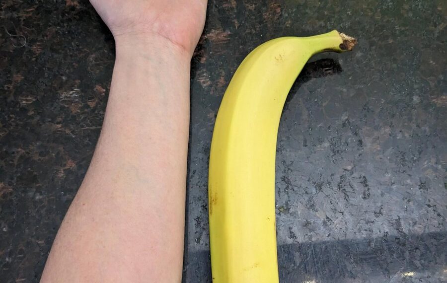 Average Erect Penis Size by Country 

 Sudan - 17.95 cm - 7.1 inch
 DR Congo - 1