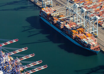 WTO Chief Economist Warns of Limited Disruption from This Year’s Tariffs