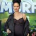 Woman Detained After Shooting at Rihanna's LA Home