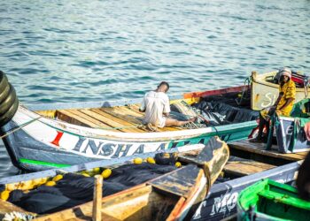 ai generated 8021482 960 720.jpg