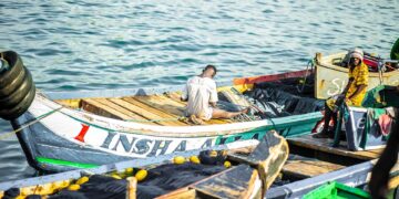 ai generated 8021482 960 720.jpg