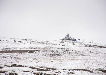 Length of Recessions in the United States Since World War II

 Feb 2020 – Apr 20