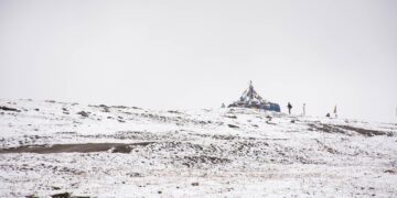 Length of Recessions in the United States Since World War II

 Feb 2020 – Apr 20