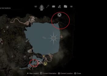 Solutions to the All Lake Door Puzzle