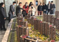 Beijing Experiences Boost in Recent Housing Sales