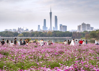 Guangdong Leads China in Population Growth for 2025