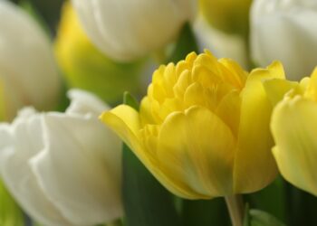 How To Change Your Old Gmail Username