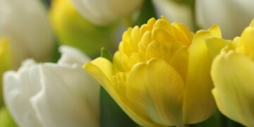 How To Change Your Old Gmail Username