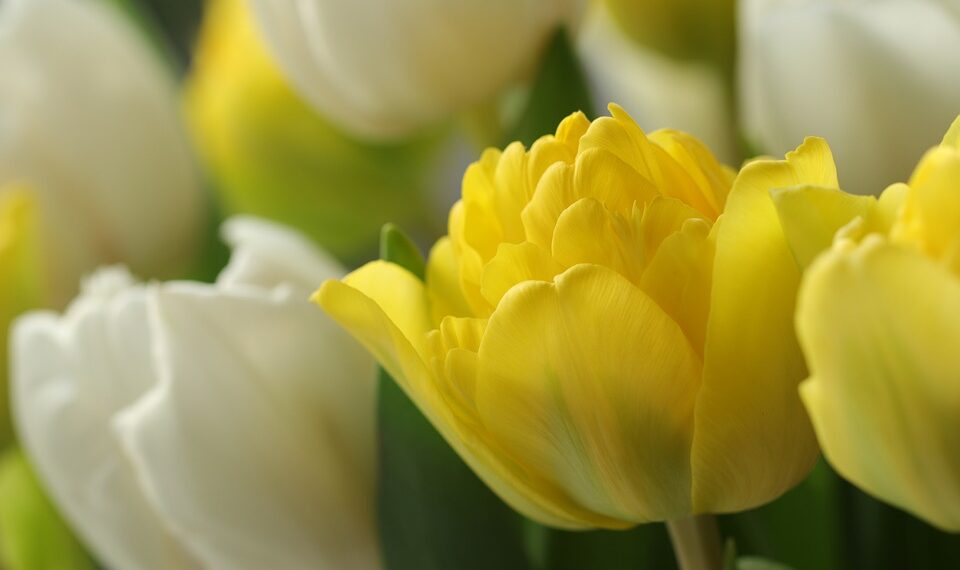 How To Change Your Old Gmail Username