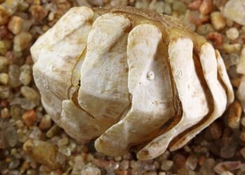 How To Delete Your Entire Chat History in ChatGPT: A Step-by-Step Guide