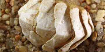 How To Delete Your Entire Chat History in ChatGPT: A Step-by-Step Guide