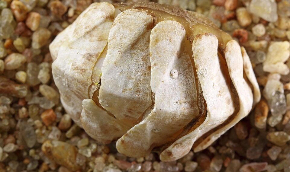 How To Delete Your Entire Chat History in ChatGPT: A Step-by-Step Guide