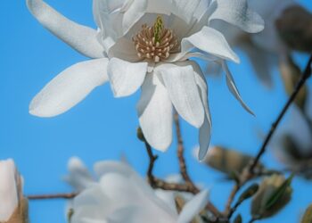 How To Enable Developer Options on Android (And What It Does)