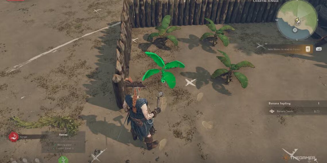 How To Grow Crops in Windrose: Completing and Solving Tips