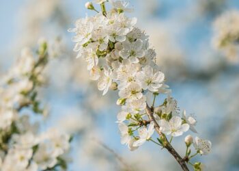 How To Install Fonts in Windows 11 and Windows 10: 3 Easy Methods