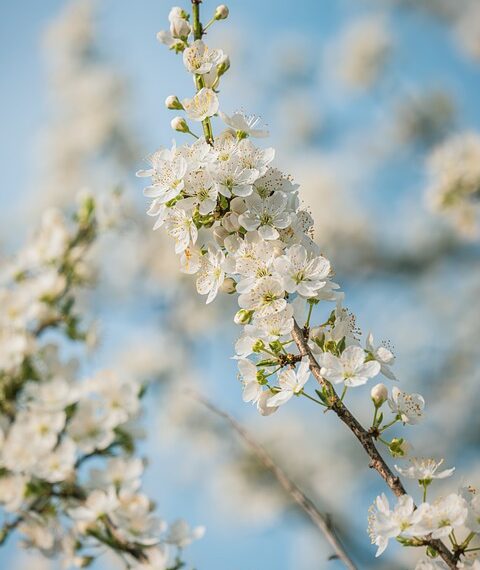 How To Install Fonts in Windows 11 and Windows 10: 3 Easy Methods