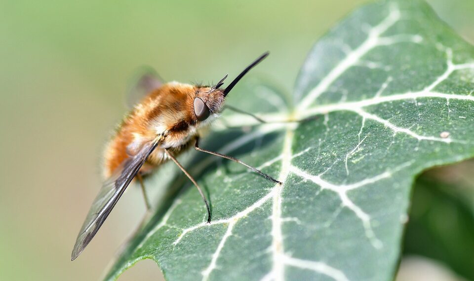 How To Turn Safe Mode On And Off On Android (And When To Use It)