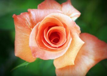 Windows 11 laptop security system crash blue screen error