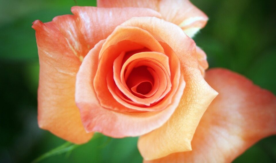 Windows 11 laptop security system crash blue screen error