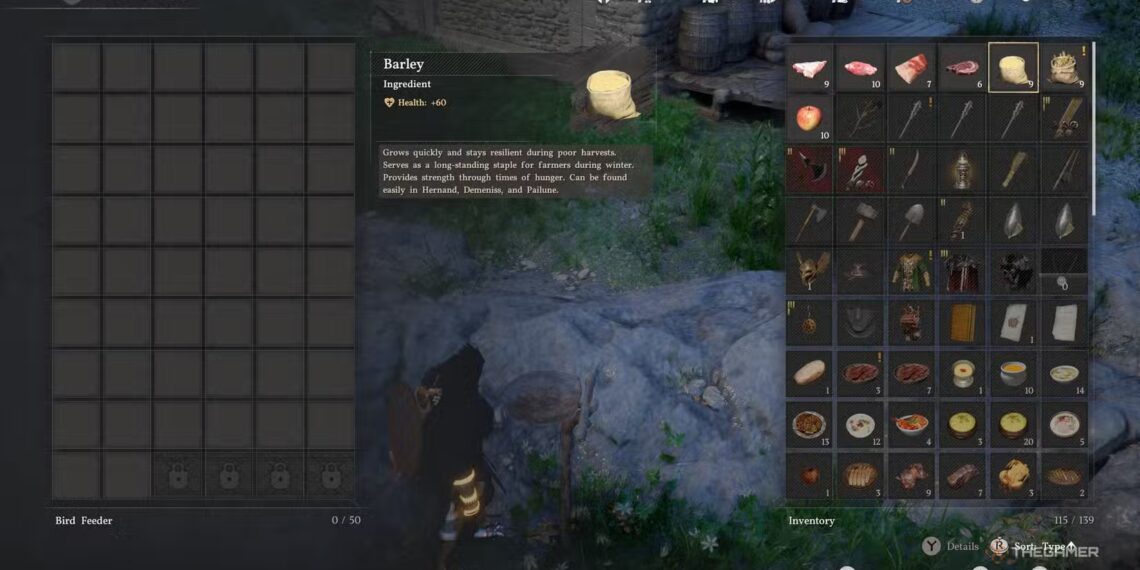 How to Make Birds Your Pets in Crimson Desert: Completing and Solving