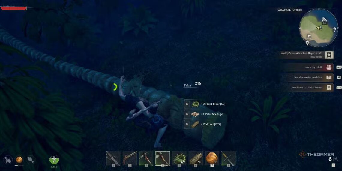 How to Obtain Palm Seeds in Windrose by Completing and Solving